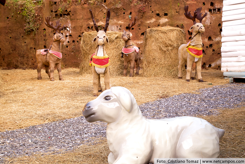 casa-do-papai-Noel-01