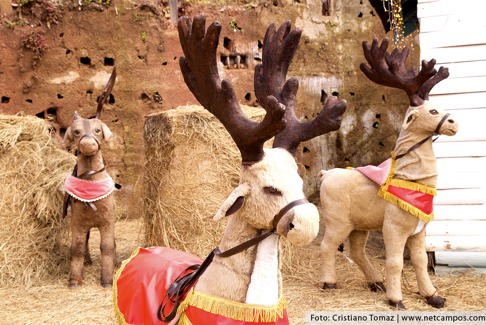 casa-do-papai-Noel-02