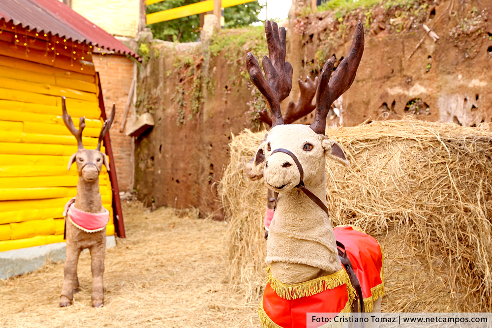 casa-do-papai-Noel-06