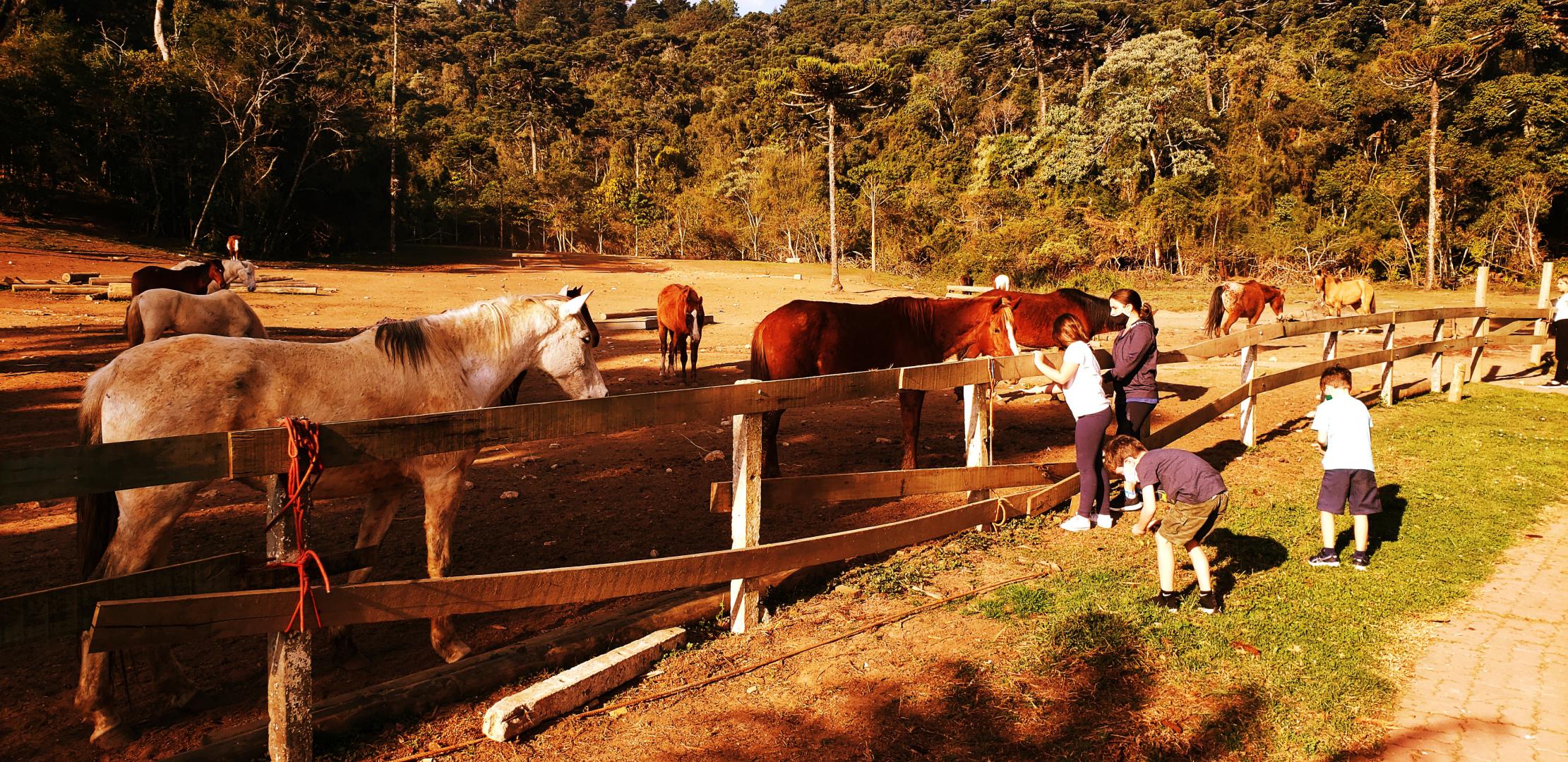 centro-lazer-tarundu-21