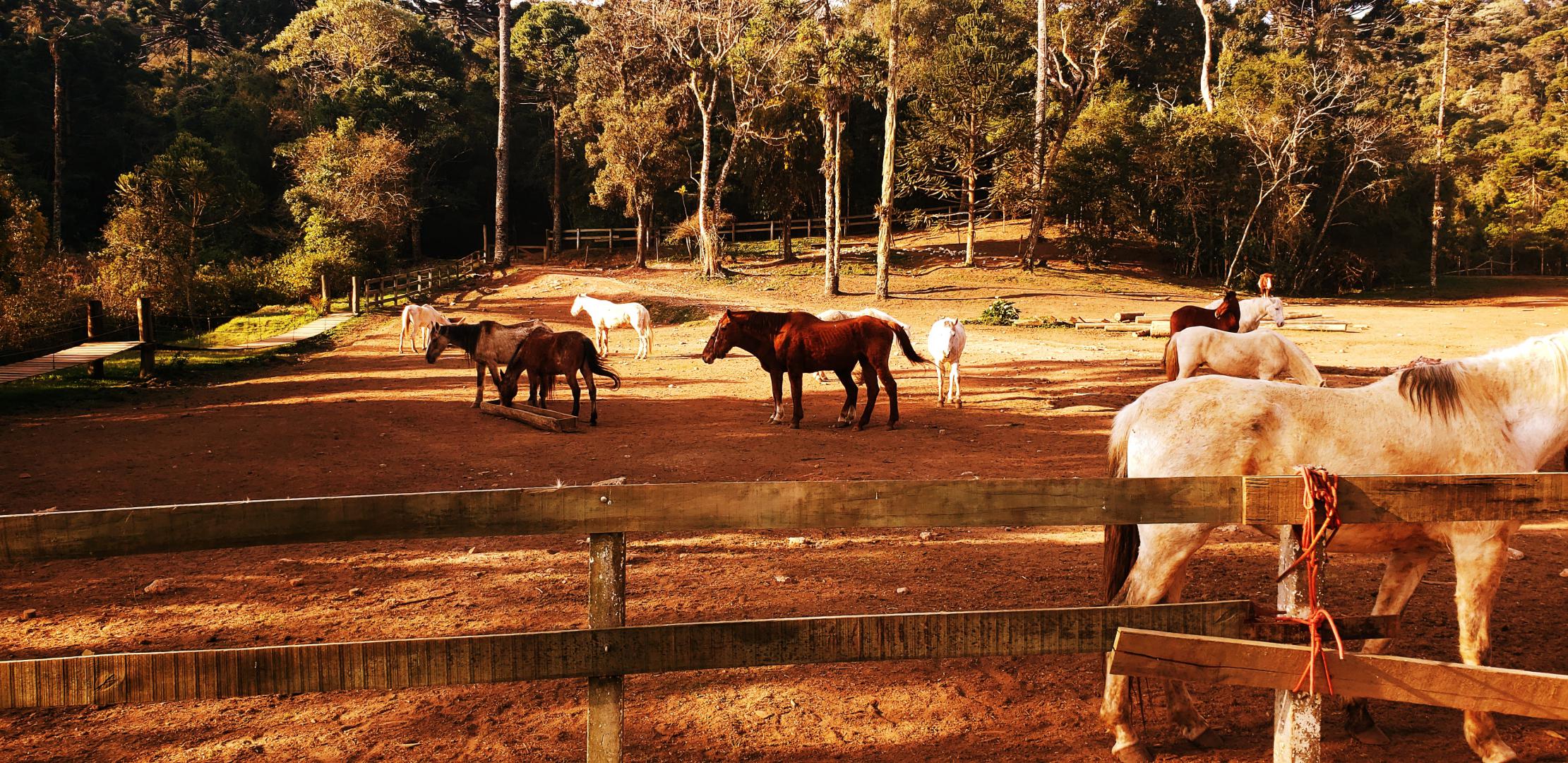 centro-lazer-tarundu-22