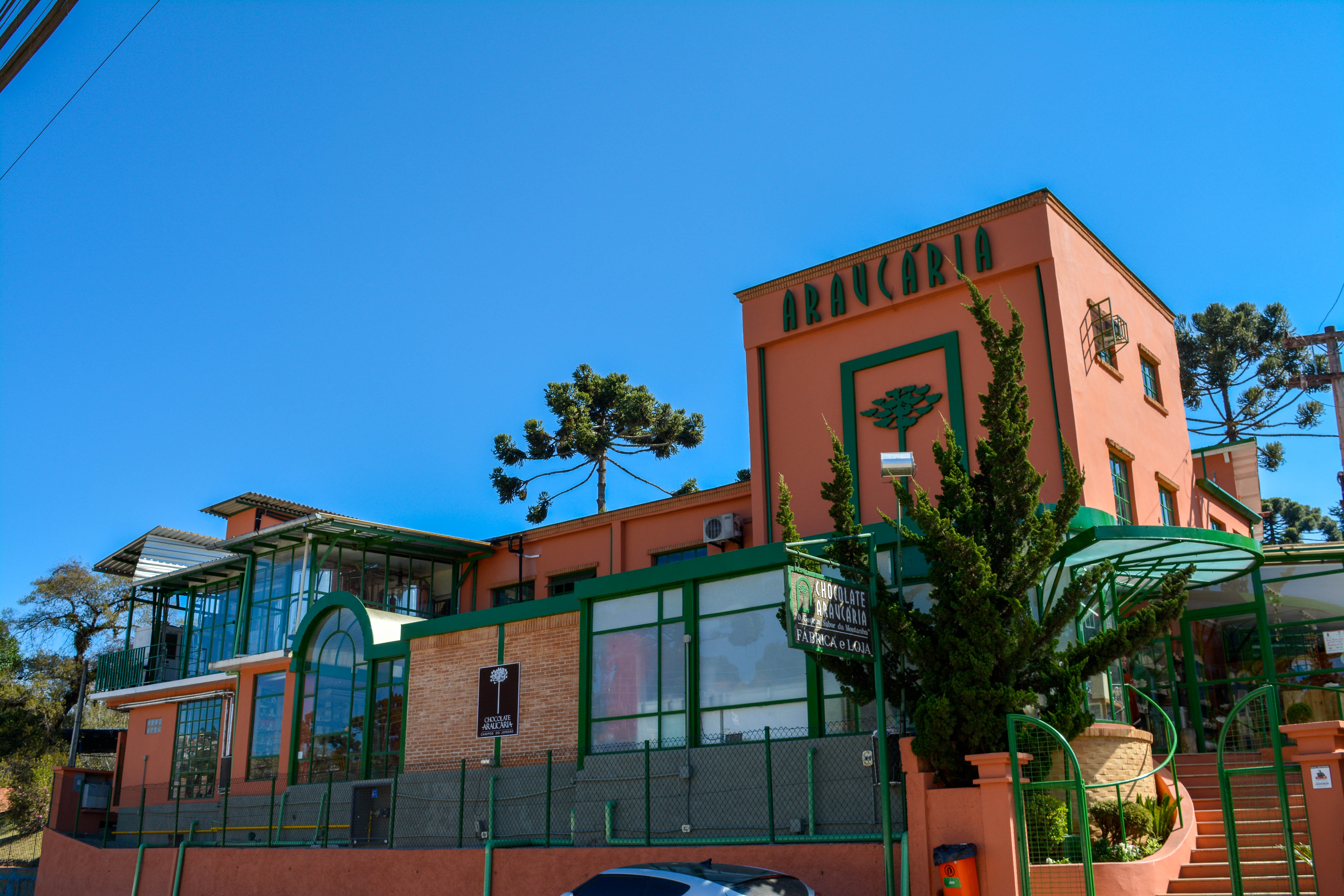 Chocolate Araucária