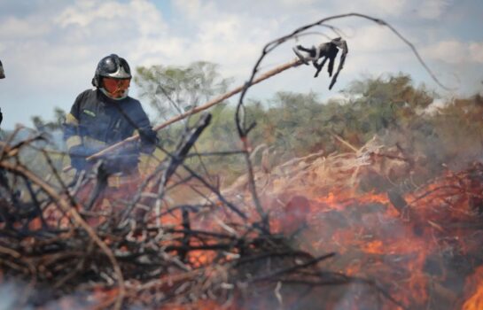 Prevenção a queimadas é intensificada no Estado de São Paulo