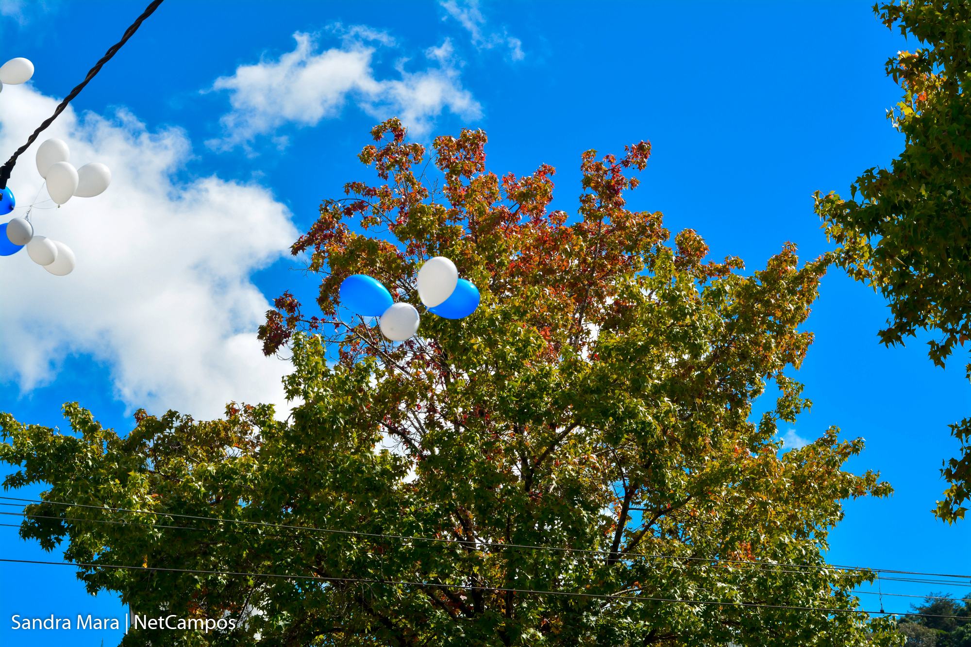 desfile-civico-campos-do-jordao-106