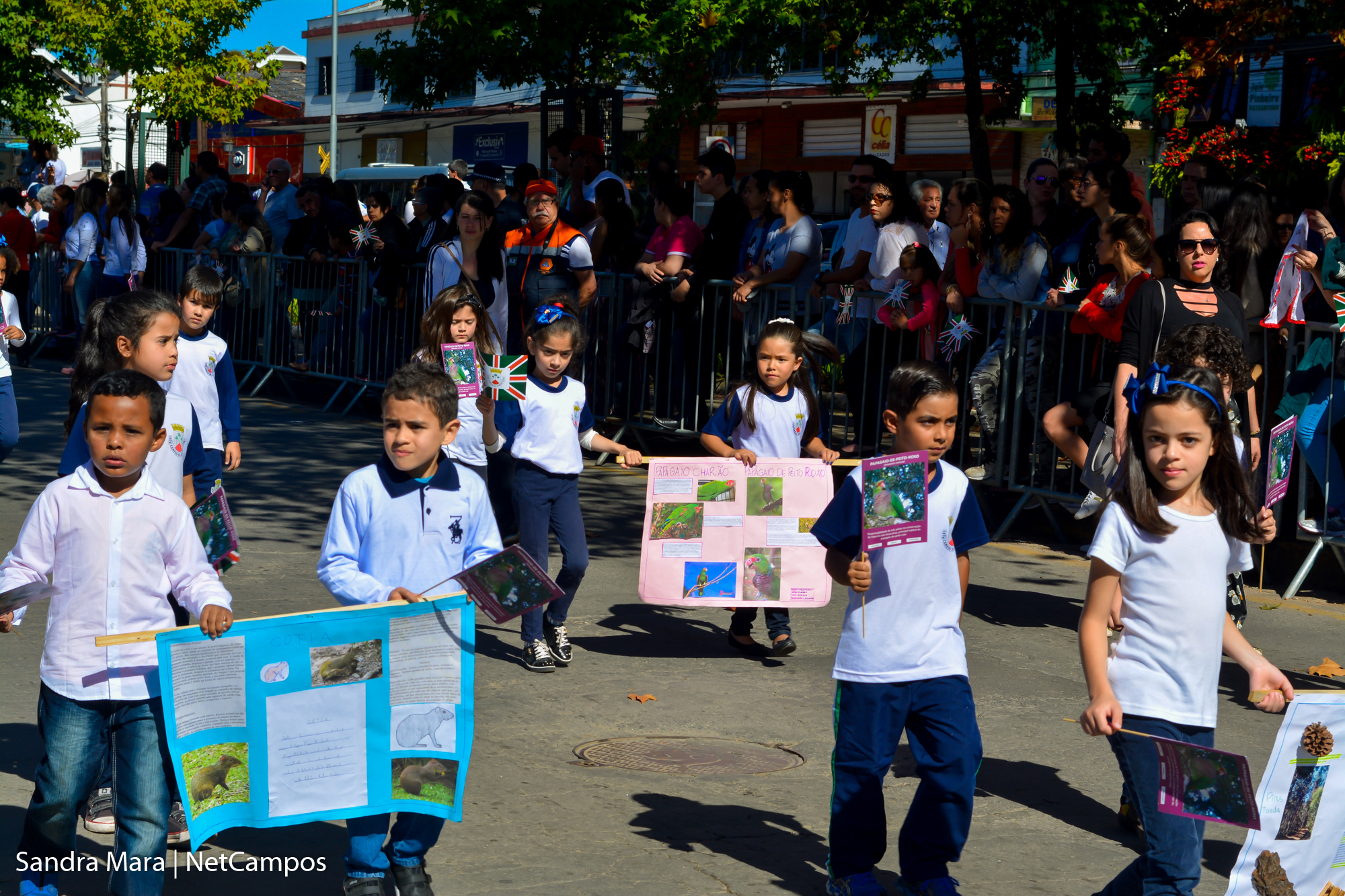 desfile-civico-campos-do-jordao-43