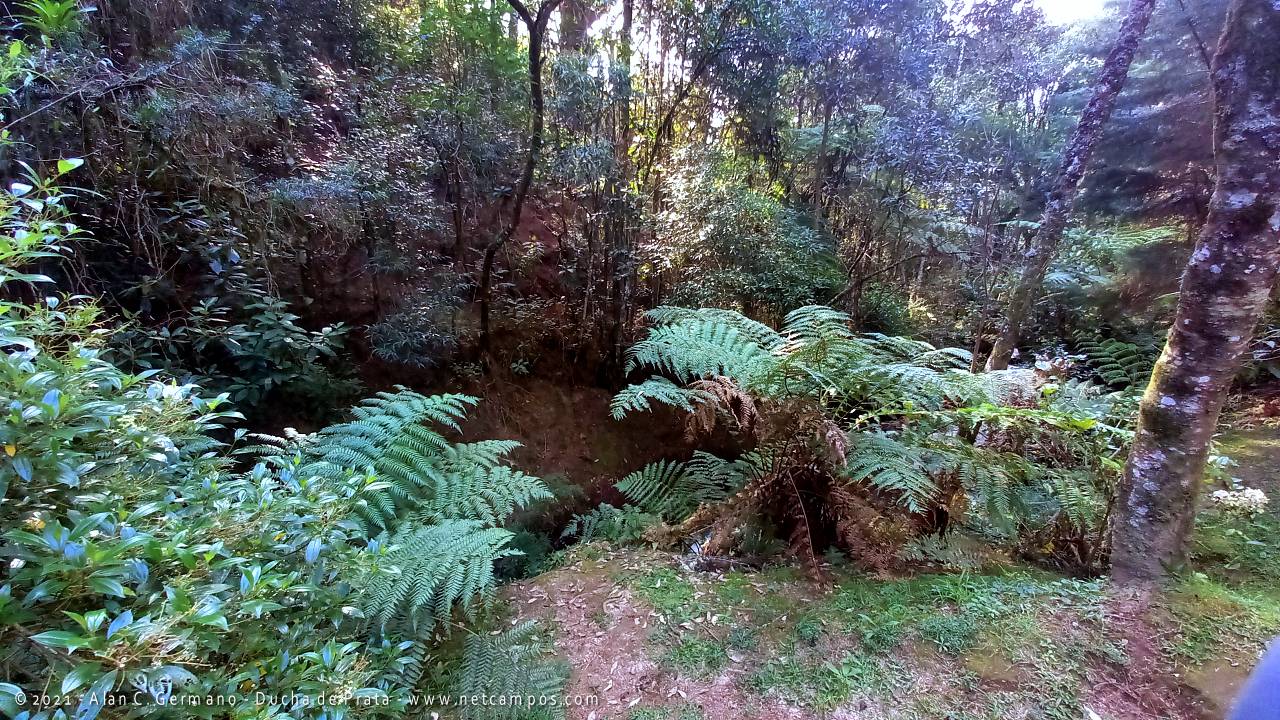 ducha-prata-campos-do-jordao-2021-05