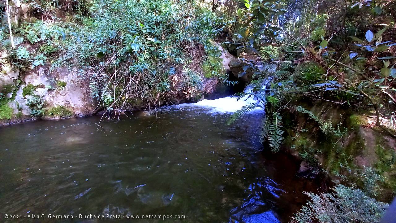 ducha-prata-campos-do-jordao-2021-22