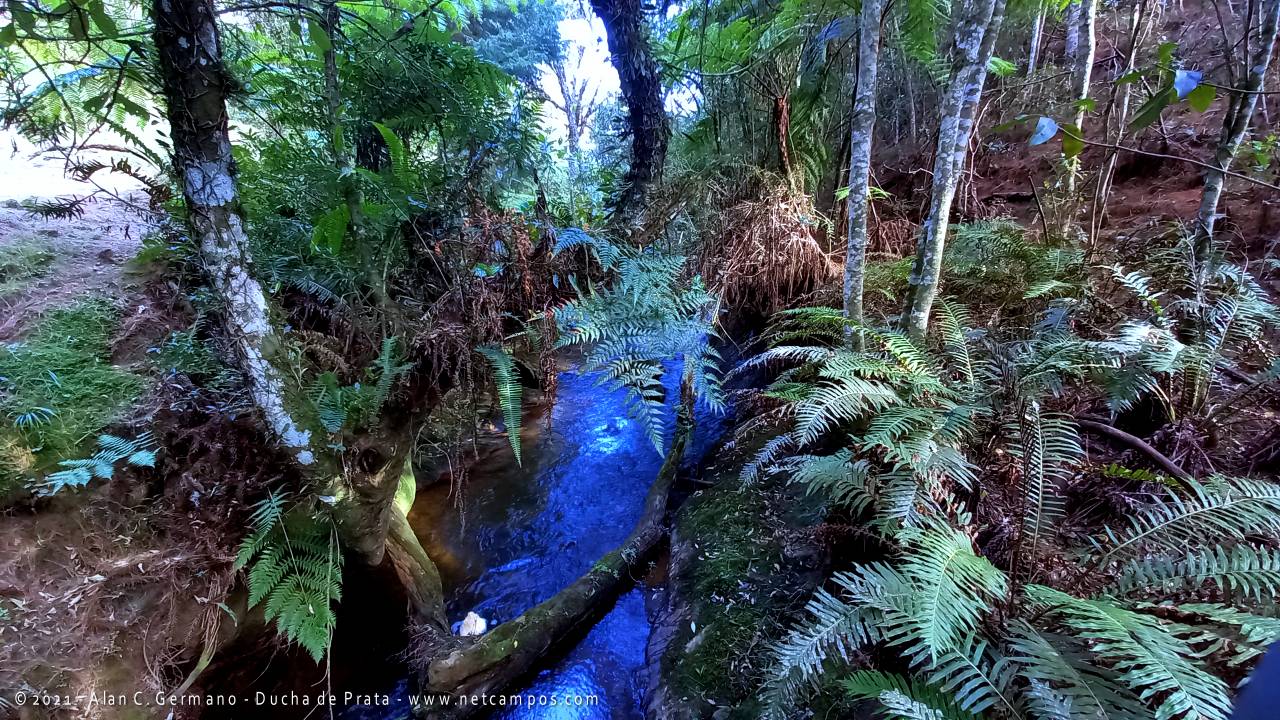 ducha-prata-campos-do-jordao-2021-23