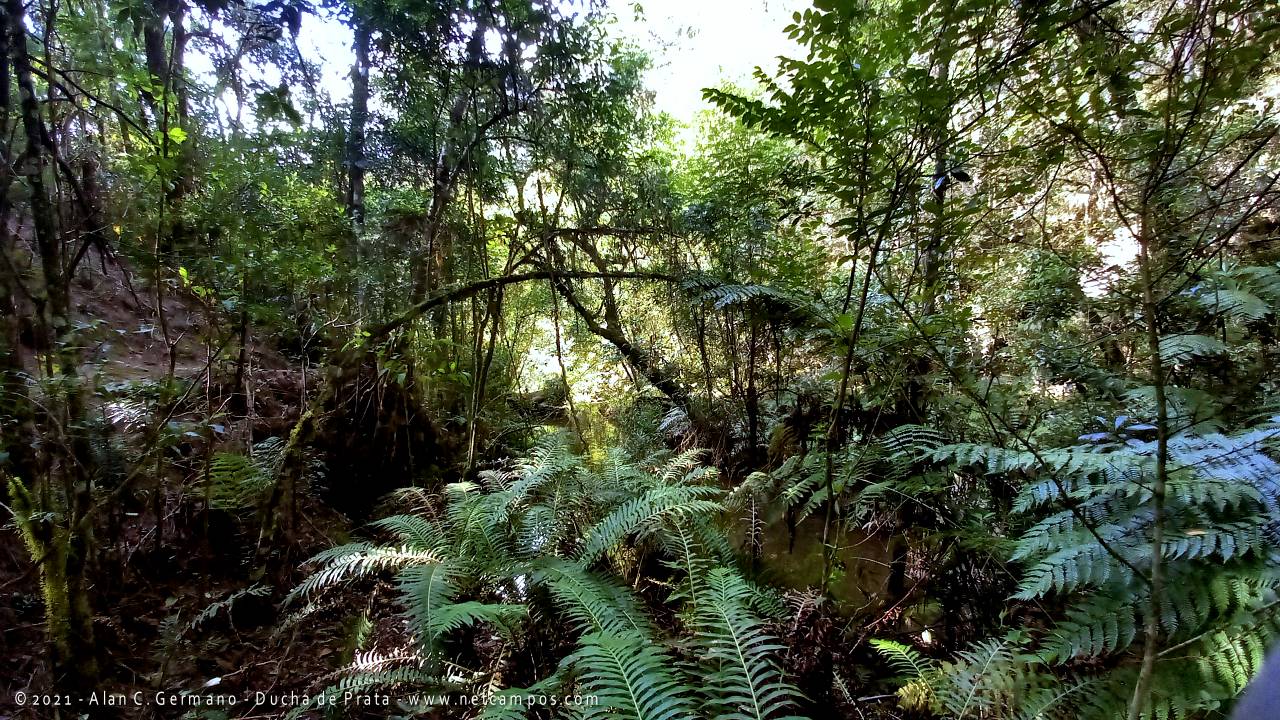 ducha-prata-campos-do-jordao-2021-26