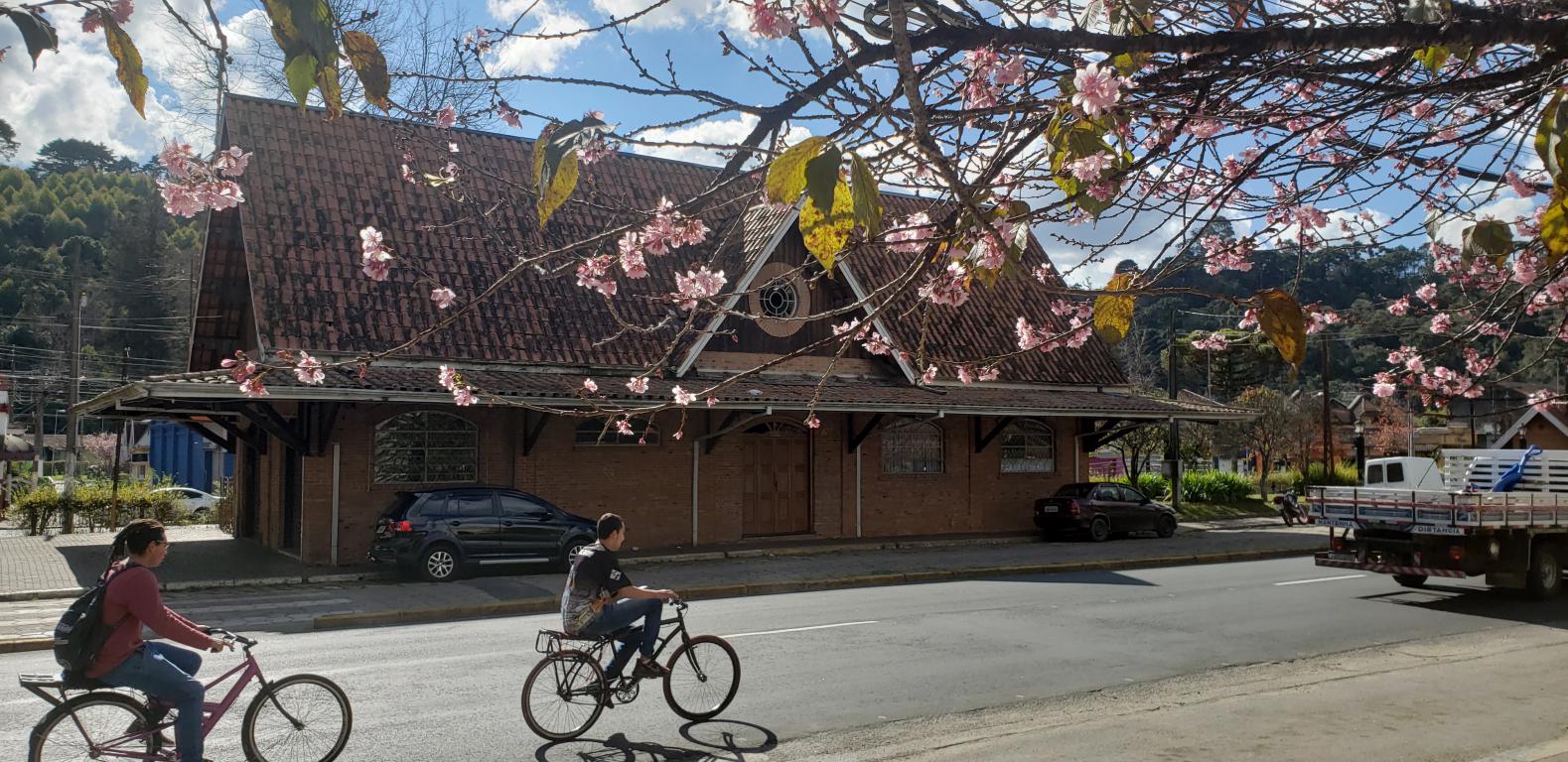 estacao_vila_abernessia_13