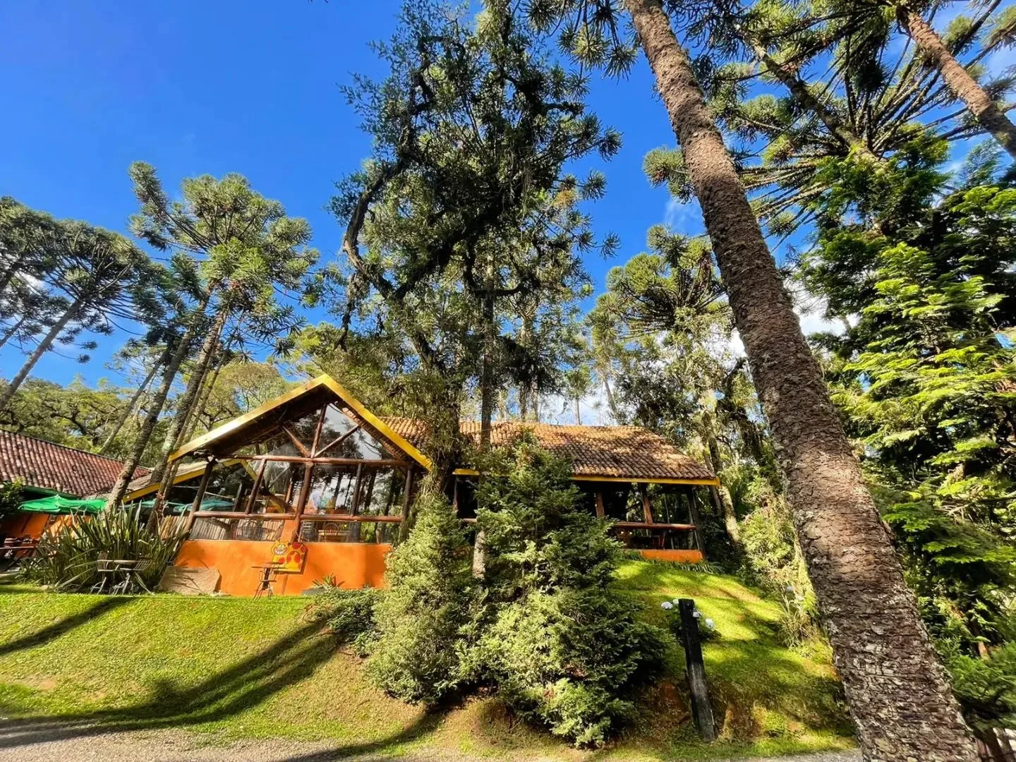 Gato Gordo Restaurante