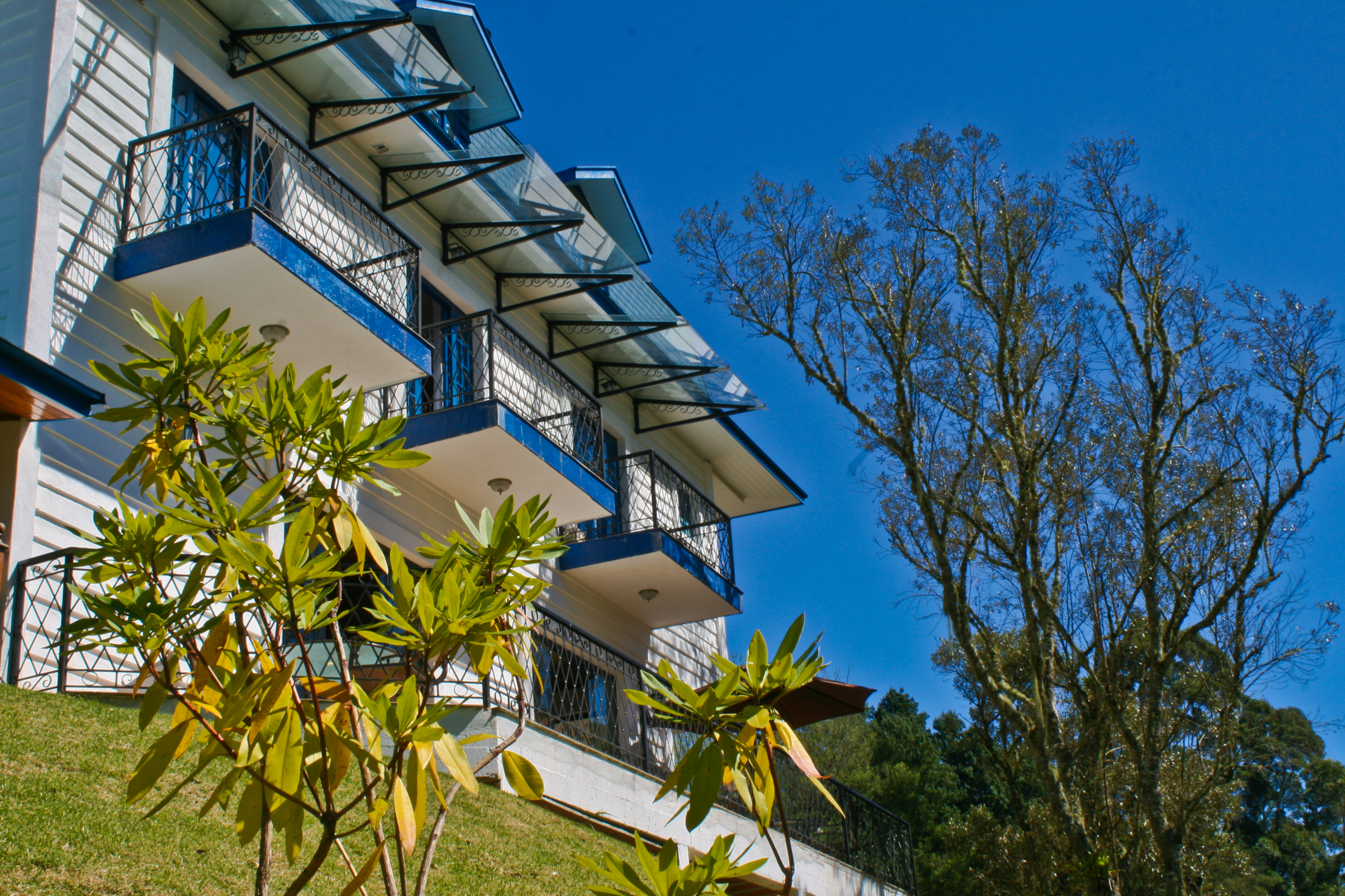 Golden Forest  Pousada