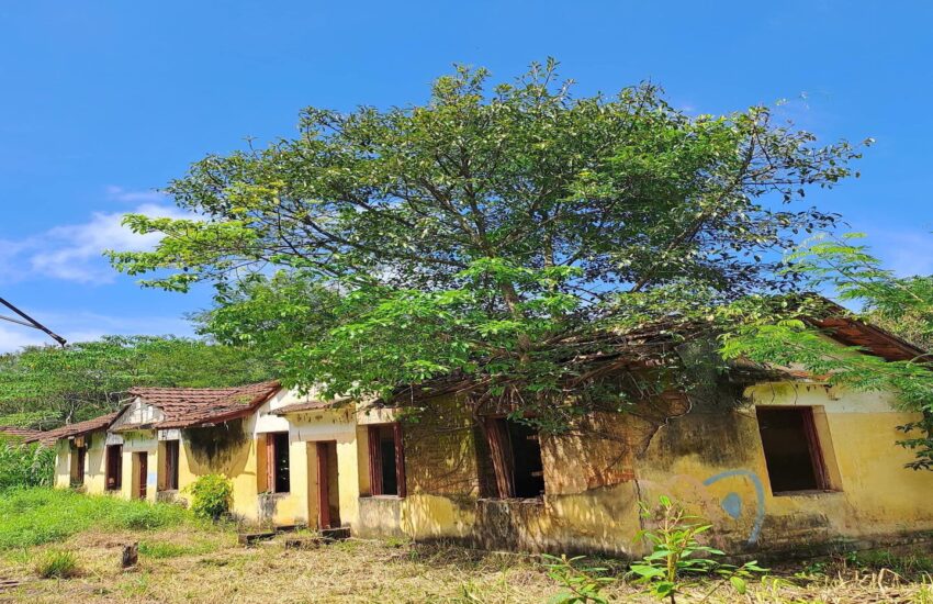 guia-melissa-campos-do-jordao-05
