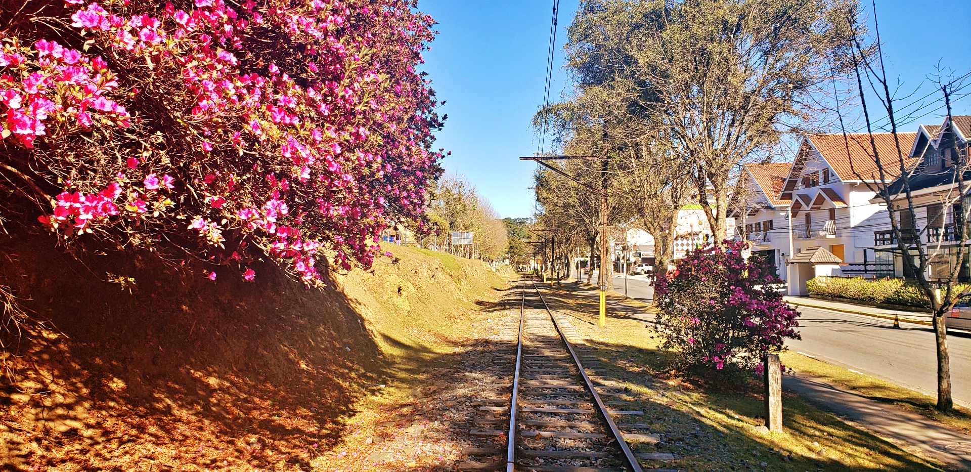 jaguaribe-capivari-20200806_091428