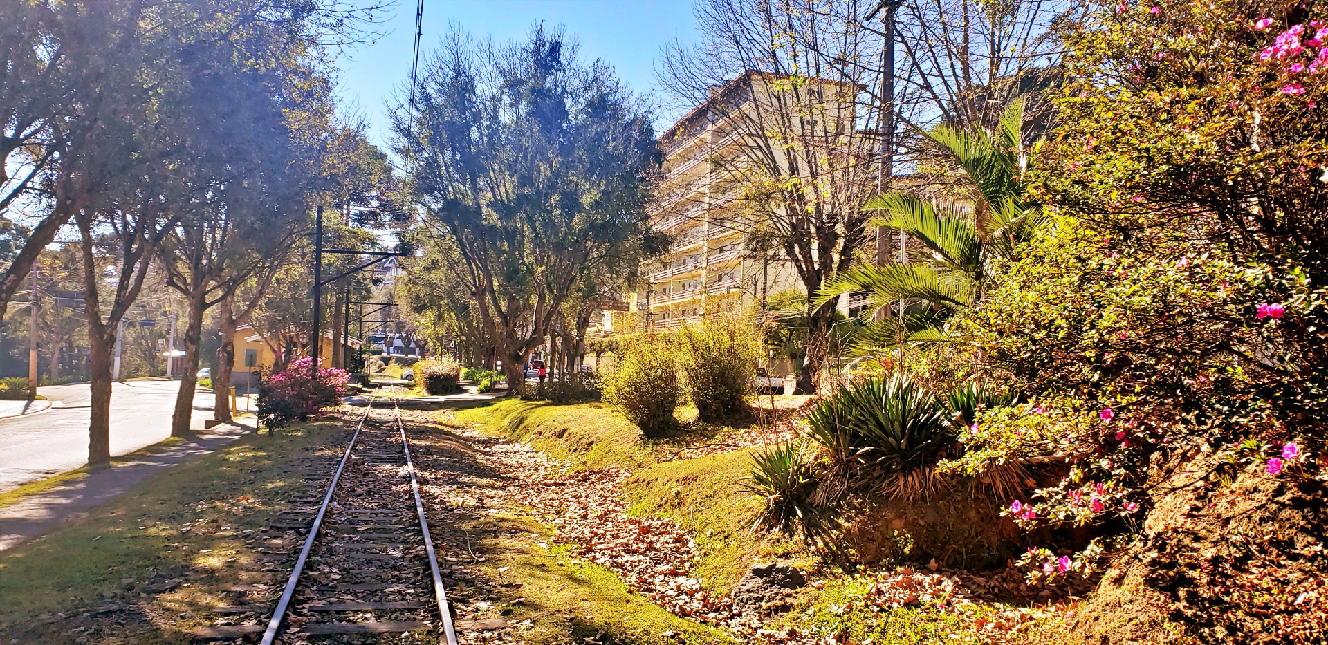 jaguaribe-capivari-20200806_091530