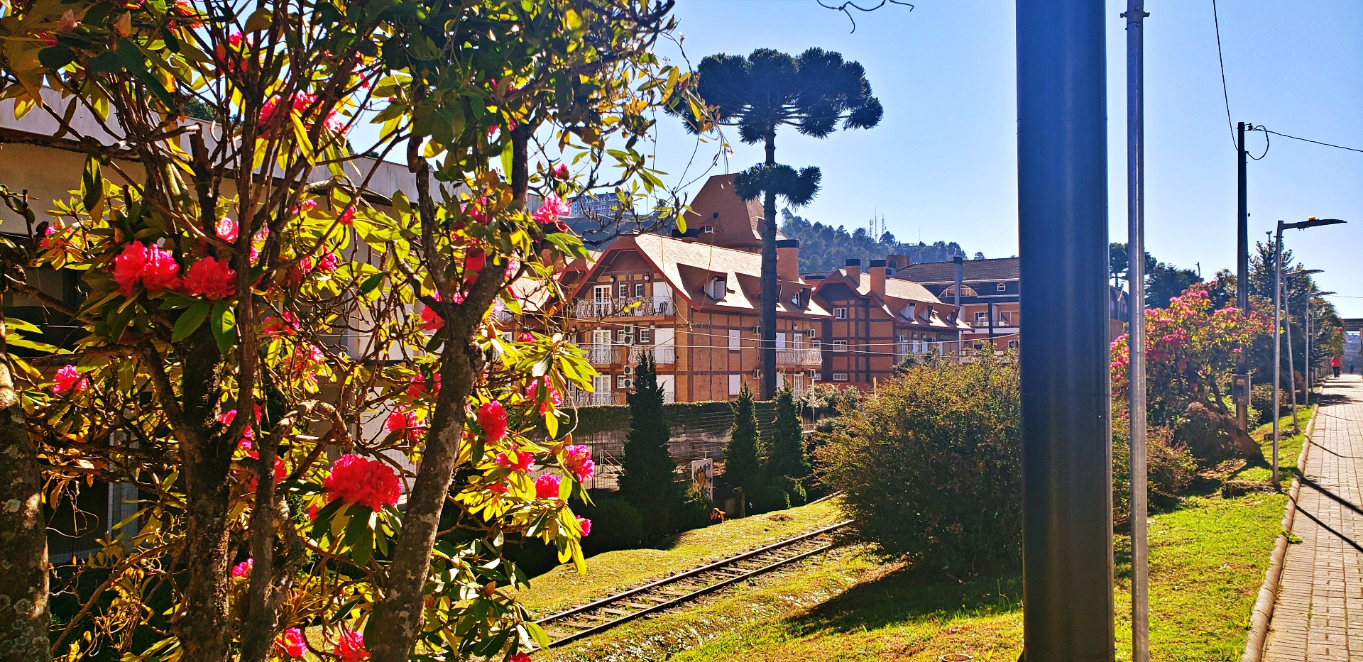 jaguaribe-capivari-20200806_093359