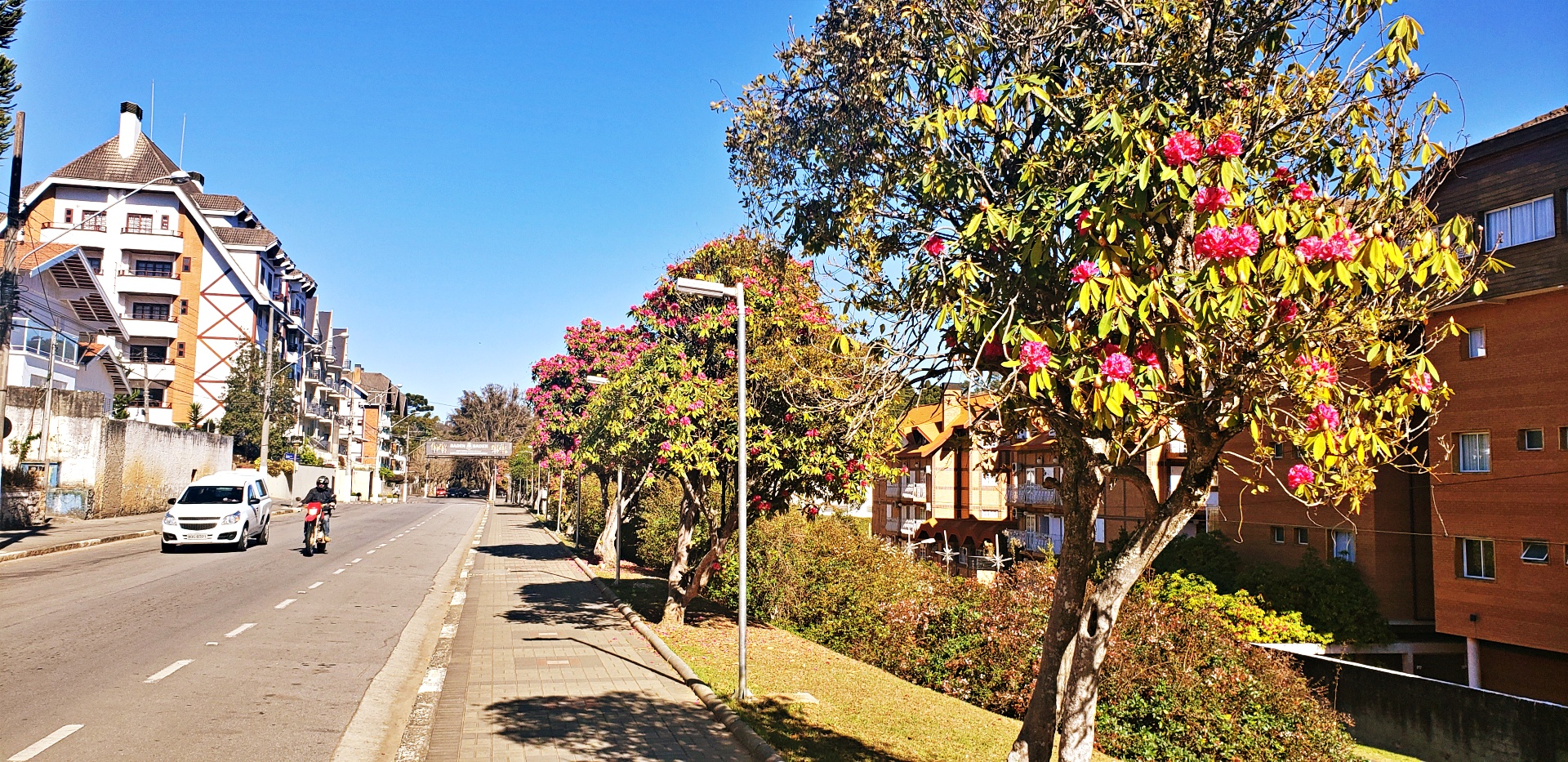 jaguaribe-capivari-20200806_093909