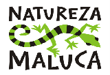 Natureza Maluca