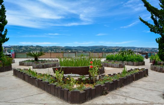 Morro do Elefante e Teleférico
