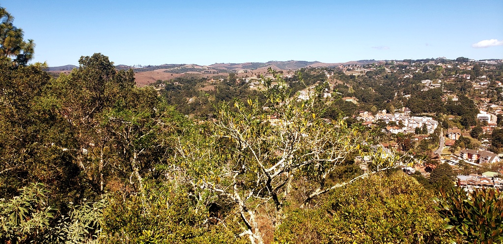 morro-elefante-campos-do-jordao-05