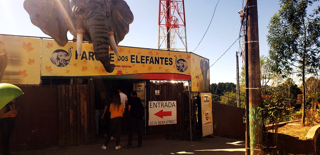 morro-elefante-campos-do-jordao-27