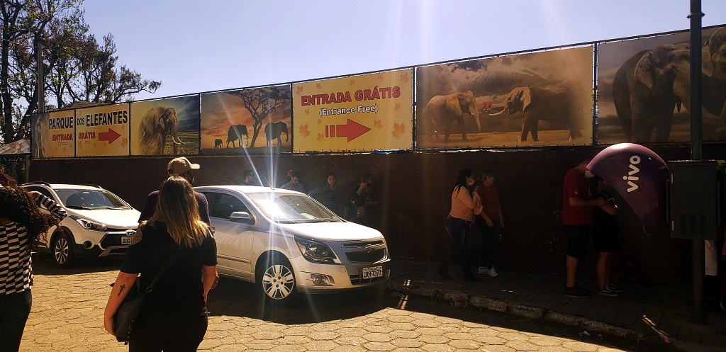 morro-elefante-campos-do-jordao-28