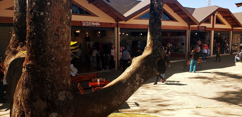 morro-elefante-campos-do-jordao-37