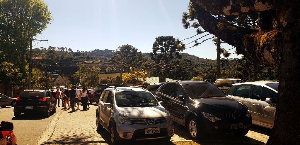 morro-elefante-campos-do-jordao-38