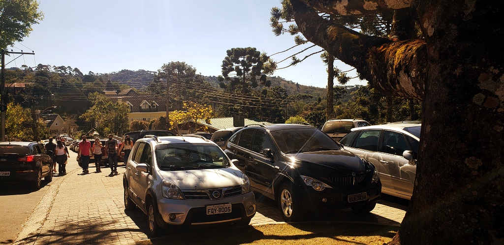 morro-elefante-campos-do-jordao-39