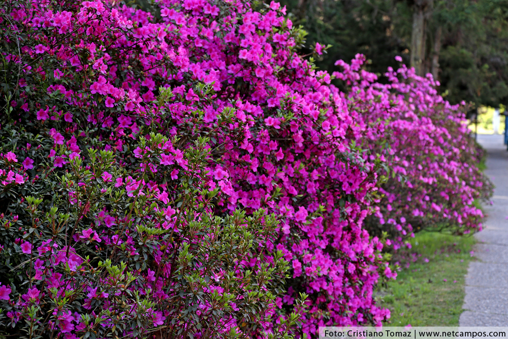 novembro-2017-hoteis-21