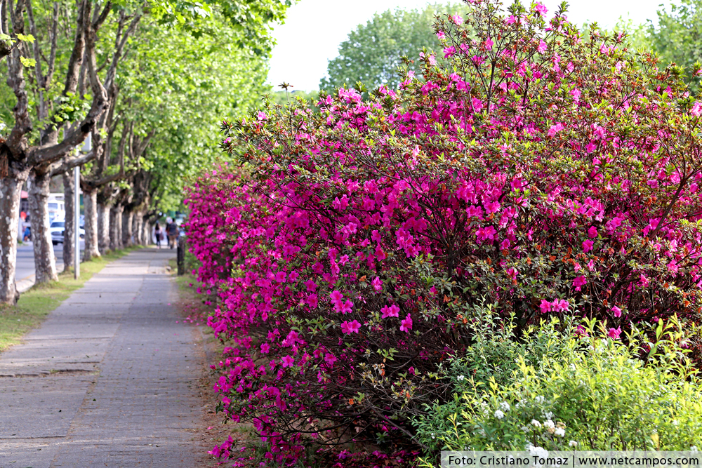 novembro-2017-hoteis1