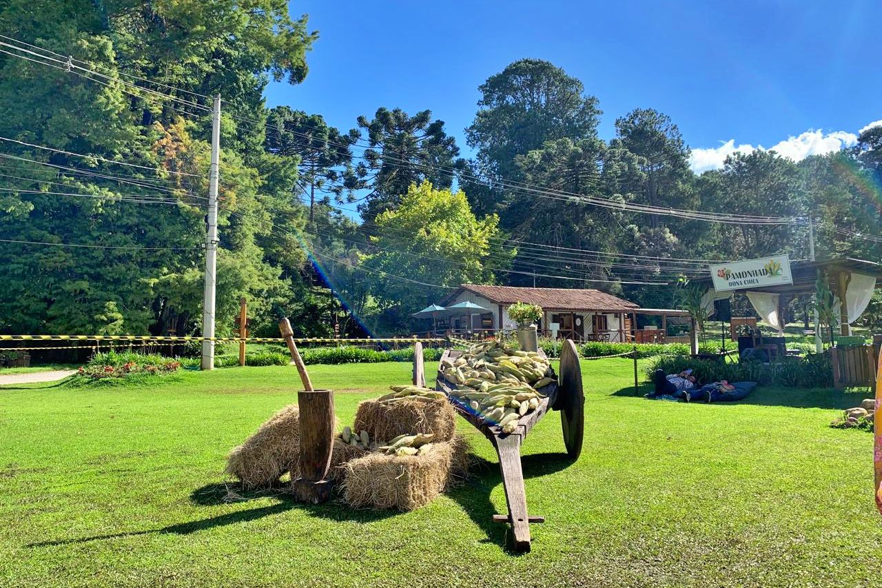 pamonhada-dona-chica-horto-10