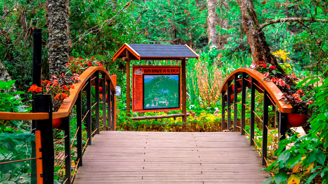 Bosque do Silêncio