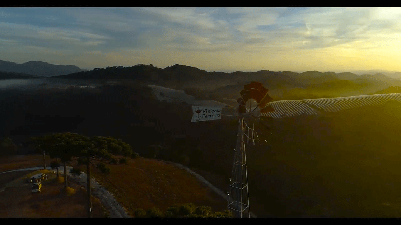 Vinícola em Campos do Jordão