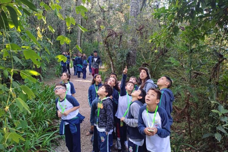 Campos do Jordão: Crianças Aprendem Sustentabilidade com Programa Inovador da Play Recycling