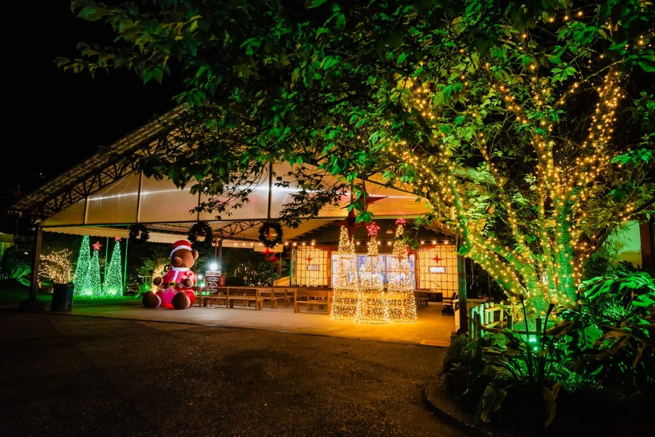 Espetáculo de Luzes do Parque da Cerejeira de Campos do Jordão segue até 6 de janeiro