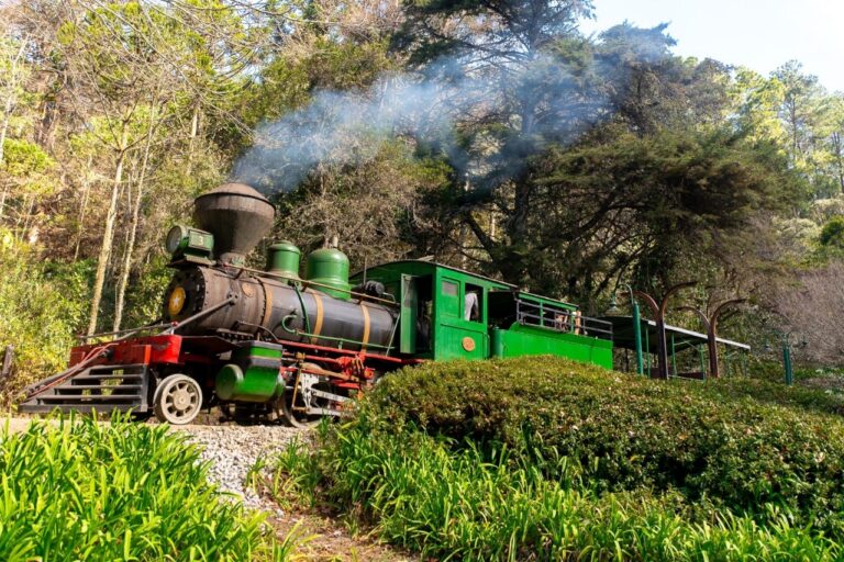 Parque Bambuí oferece entrada gratuita para crianças neste sábado, 12 de outubro