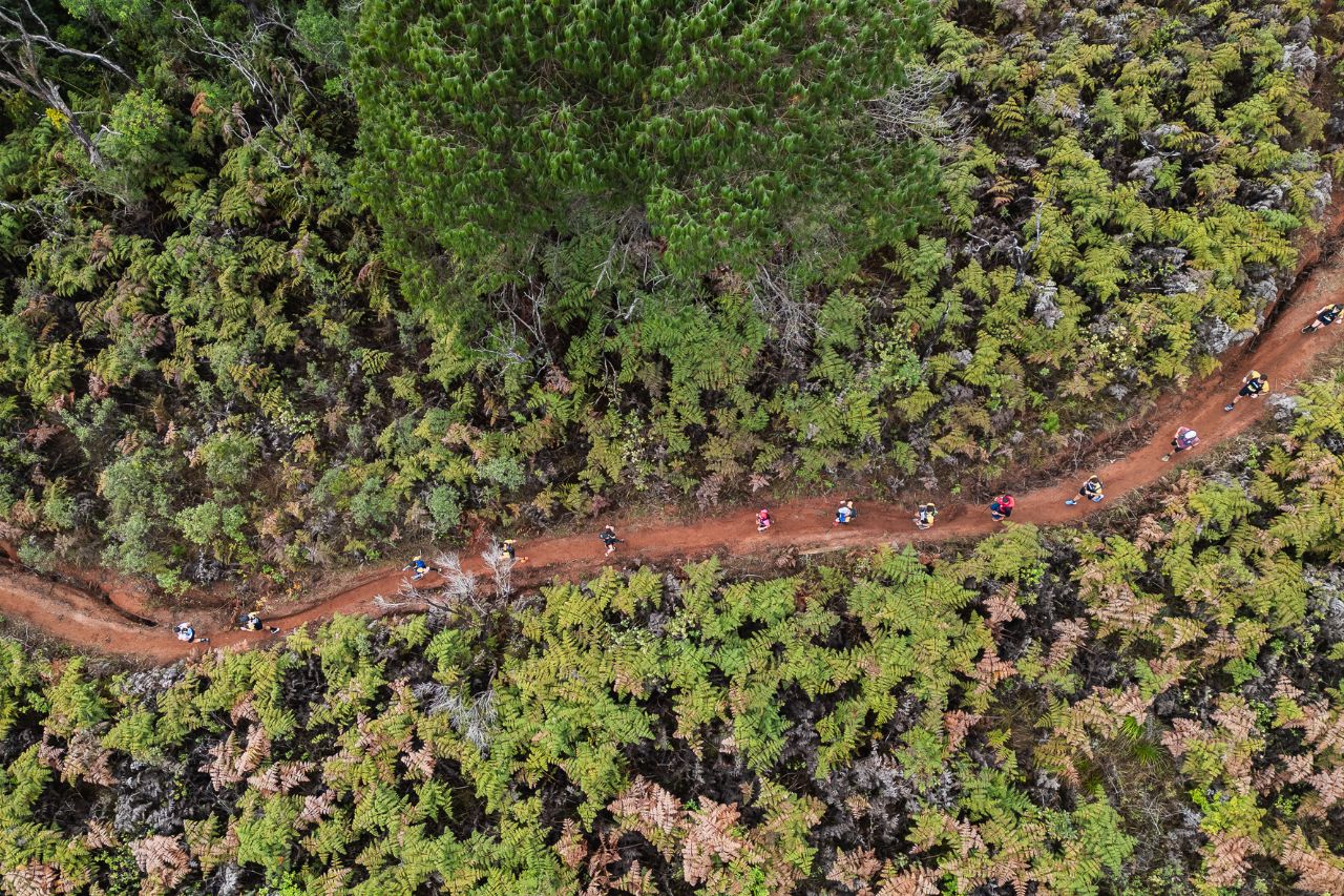 WTR Campos do Jordão: Atletas Elogiam Percurso Desafiador nas Montanhas da Serra da Mantiqueira