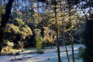 Parque Bambuí se destaca na alta temporada de inverno em Campos do Jordão com programação especial em meio à natureza da Mantiqueira