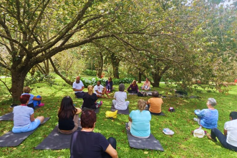 Amanhecer Zen: Parque da Cerejeira estreia aulas de yoga ao ar livre em Campos do Jordão