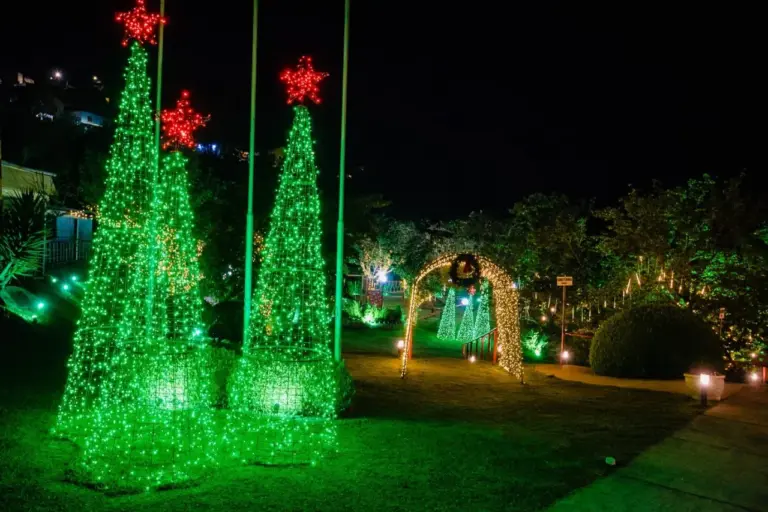 Espetáculo de Luzes do Parque da Cerejeira de Campos do Jordão segue até 6 de janeiro