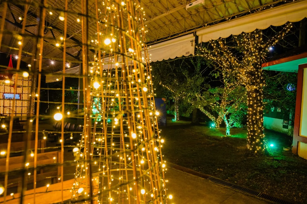 Espetáculo de Luzes do Parque da Cerejeira de Campos do Jordão segue até 6 de janeiro