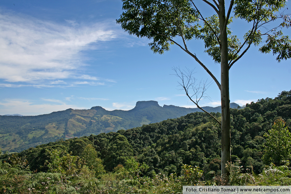 3-verao-paisagem-verde
