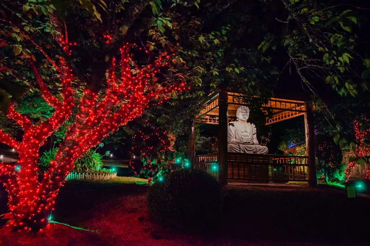 Espetáculo de Luzes do Parque da Cerejeira de Campos do Jordão segue até 6 de janeiro