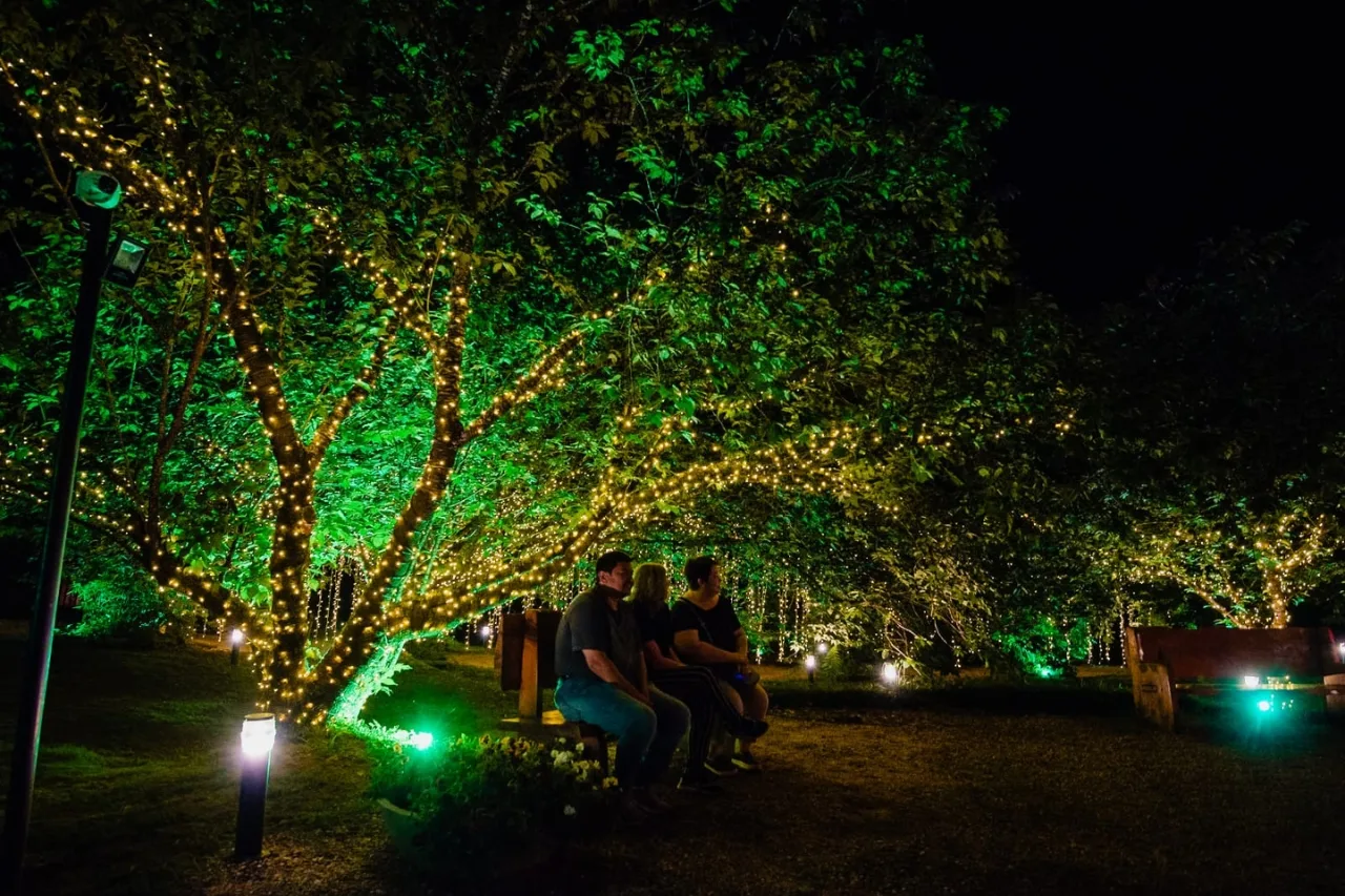 Espetáculo de Luzes do Parque da Cerejeira de Campos do Jordão segue até 6 de janeiro
