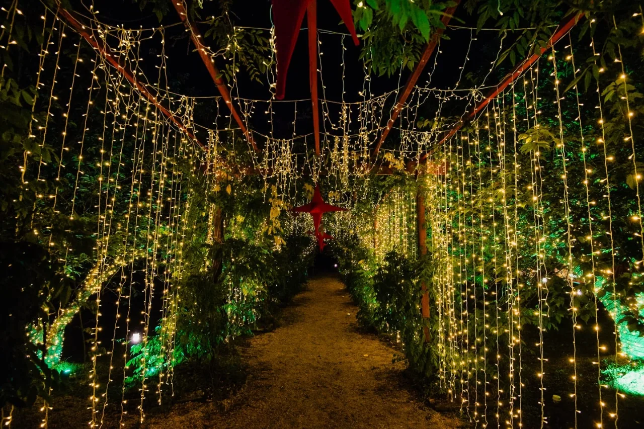 Espetáculo de Luzes do Parque da Cerejeira de Campos do Jordão segue até 6 de janeiro