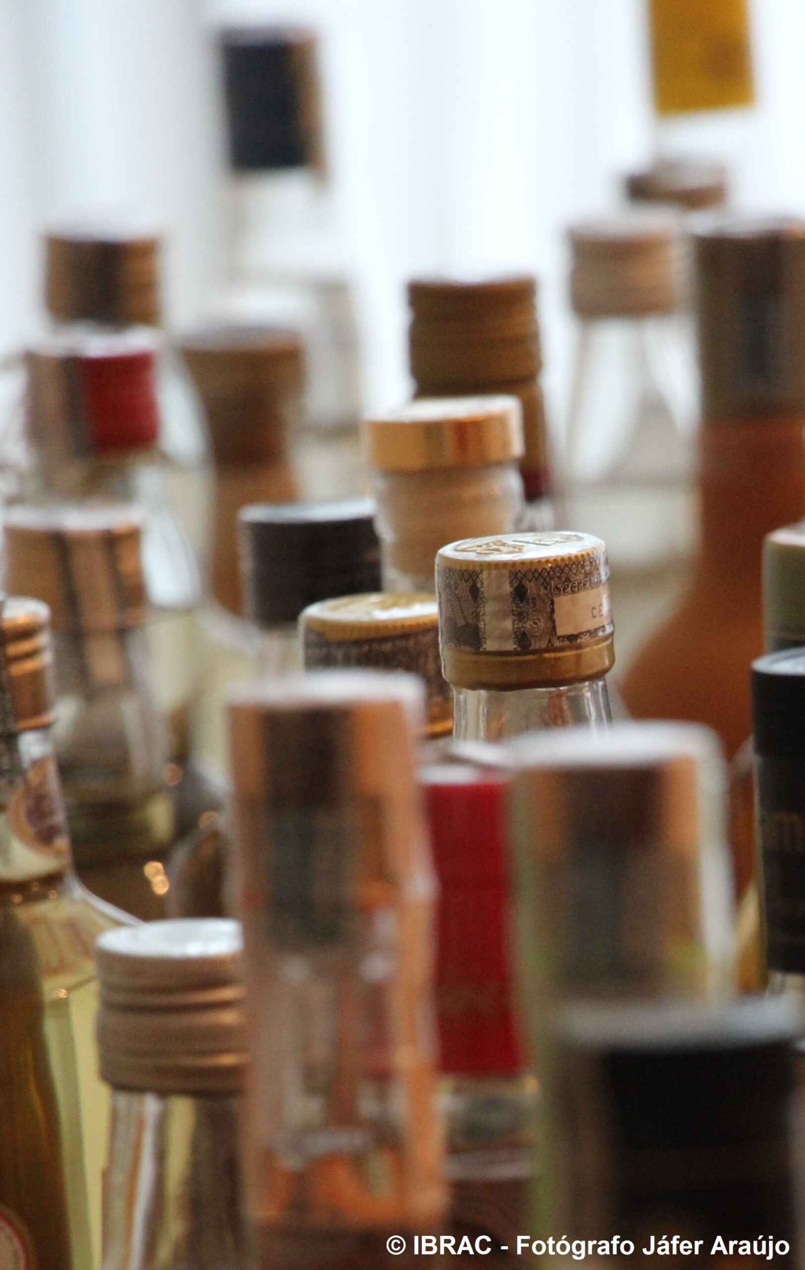 Cachaca_Bottles-1