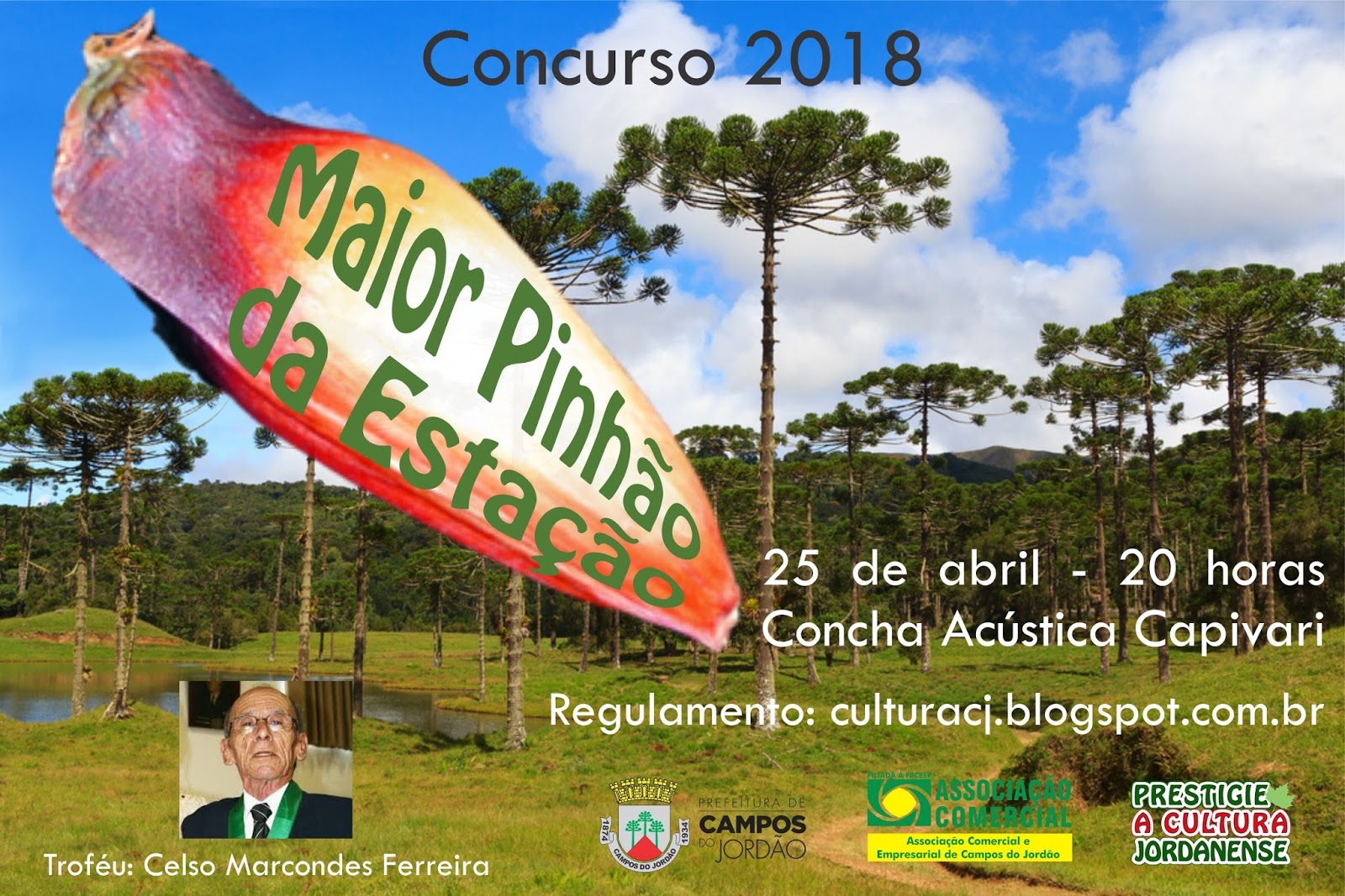 Maior-pinhão