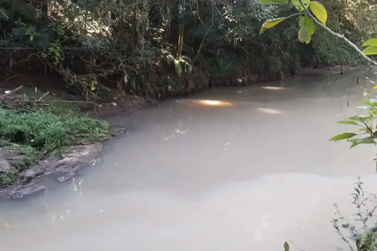 Peixes aparecem mortos próximo ao Horto e Secretaria de Meio Ambiente abre investigação