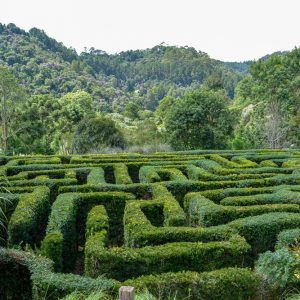 amantikir-campos-do-jordao-02
